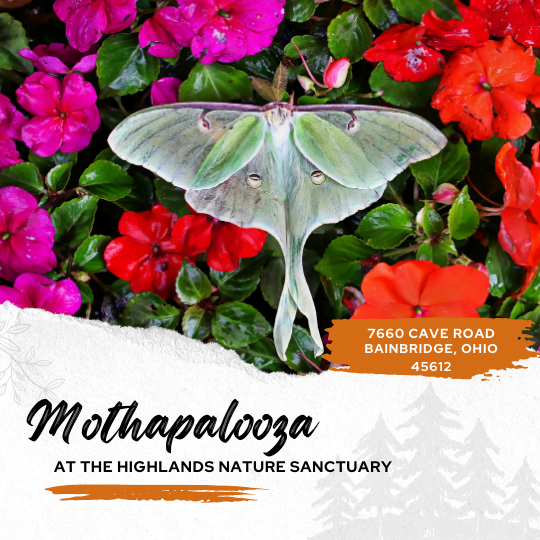 Mothapalooza 