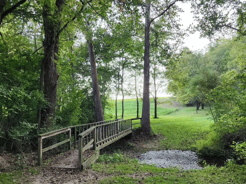 Nature Trail at Liberty Park