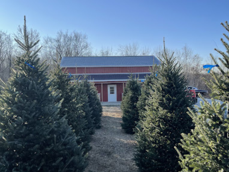 Rhoades Ridge Christmas Tree Farm and Shop 
